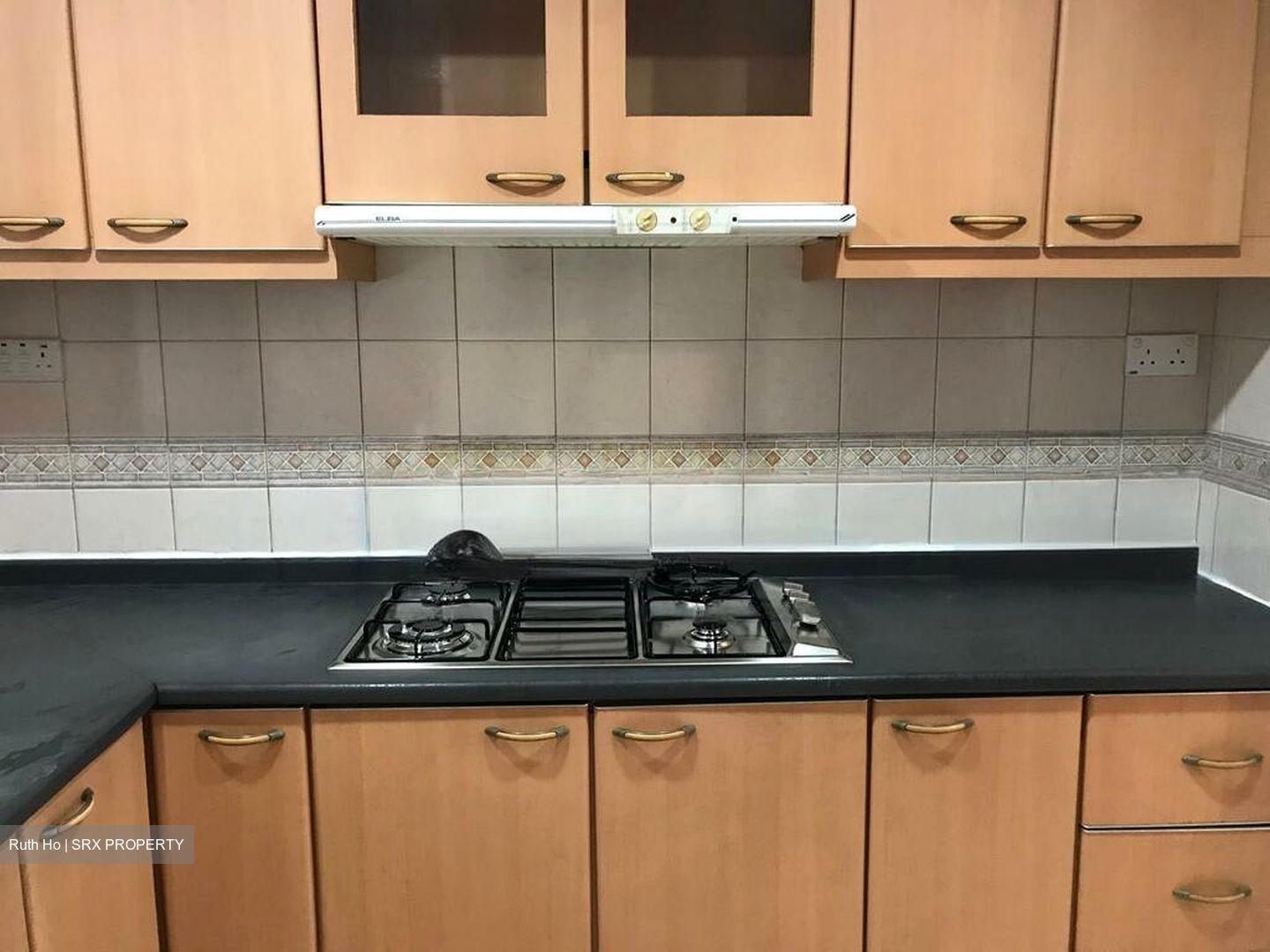 Regentville (D19), Apartment #461975691